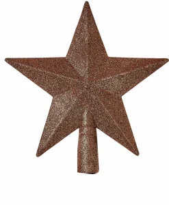 STAR Décoration Séchée^CASA