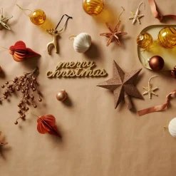 STAR Décoration Séchée^CASA