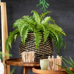 STRIPE Pot à Suspendre Naturel^CASA Online