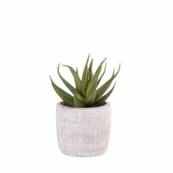 STRIPE Pot à Suspendre Naturel^CASA Online