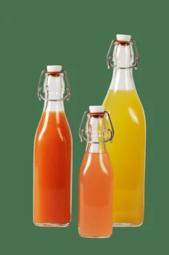 SWING Bouteille 0,5 L Transparent^CASA Best