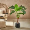 TARO Plante Artificielle Arum Vert^CASA Best