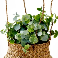 TERRA Pot Avec Plante Blanc, Vert^CASA