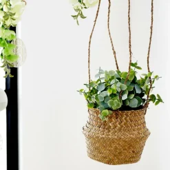 TERRA Pot Avec Plante Blanc, Vert^CASA