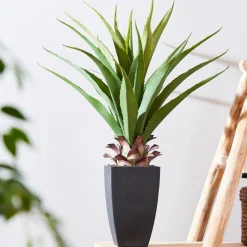 VERA Plante Grasse Sur Tige Vert^CASA Best